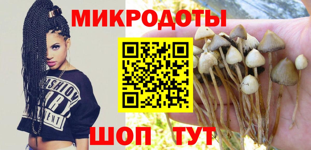 Галлюциногенные грибы мухоморы  Псилоцибиновые грибы Magic Shrooms  Балашов  Вход с VPN 